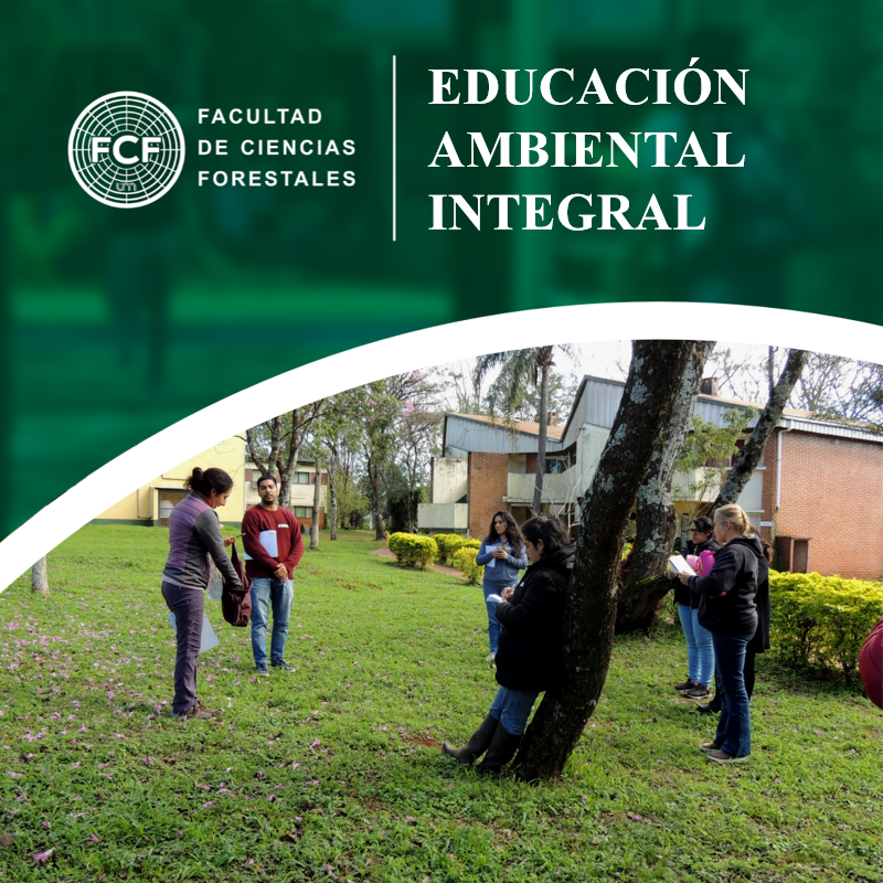 Todos los cursos | Campus VIrtual FCF